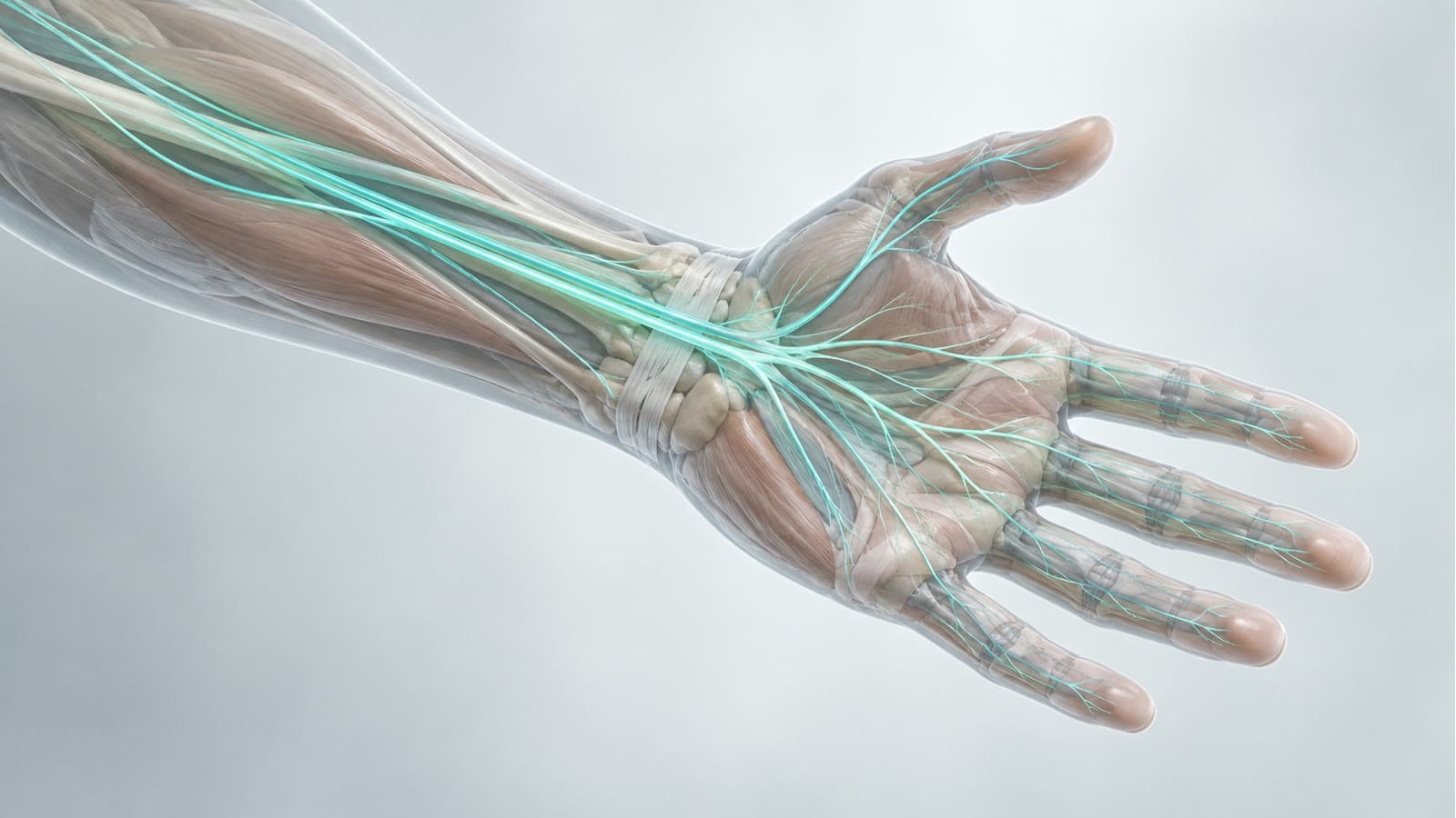 Numbness and Tingling in Your Hands: When It Is Your Neck, Not Carpal Tunnel in Monroe and Shreveport
